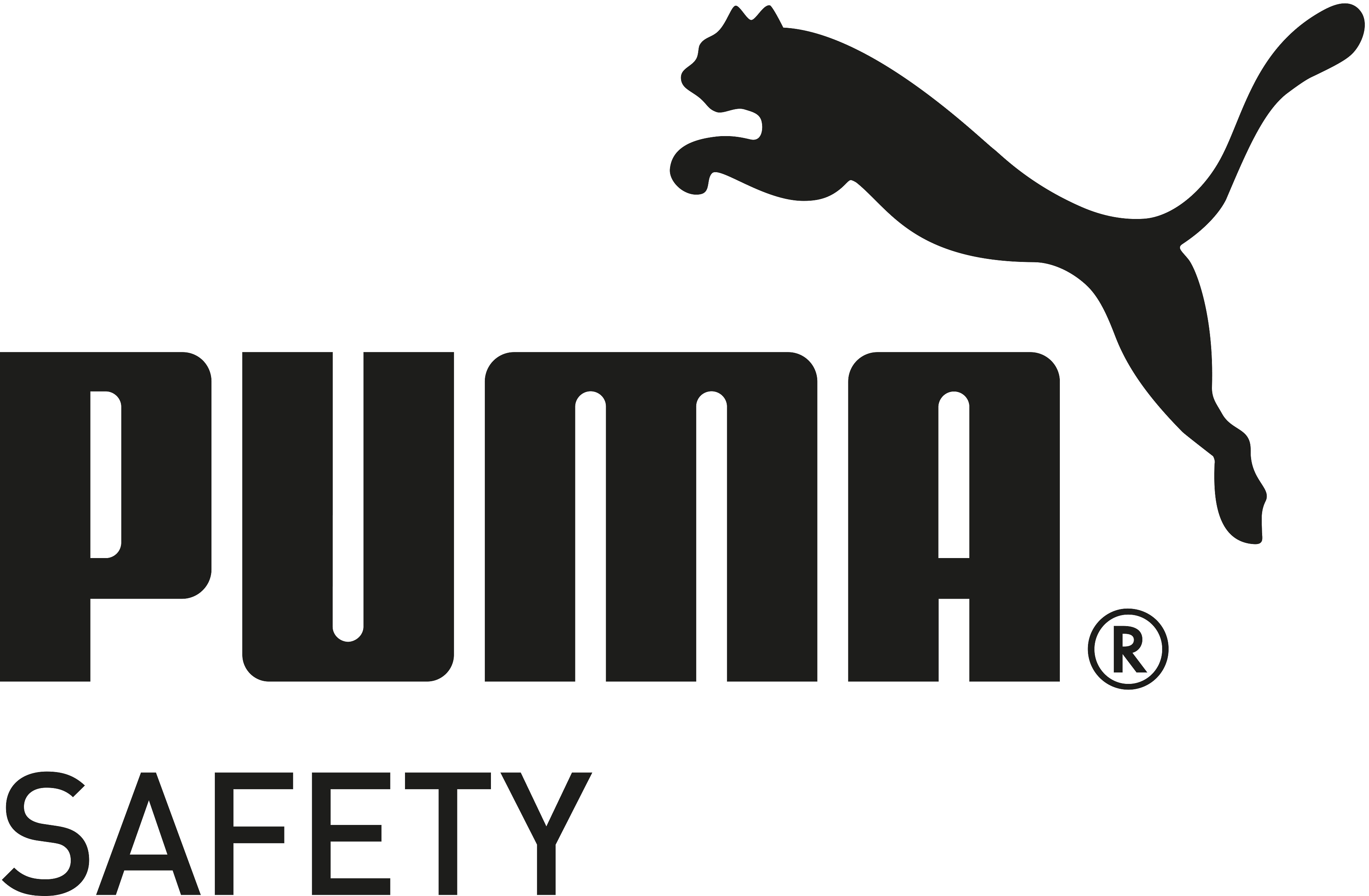 Puma Safety