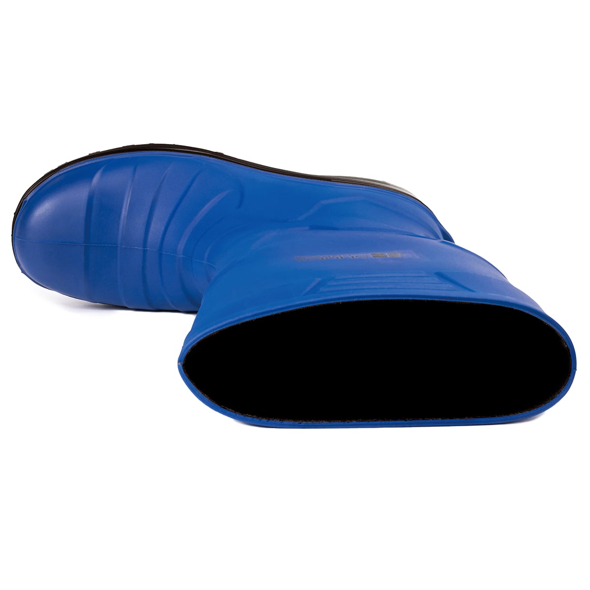 SENTINEL BLUE